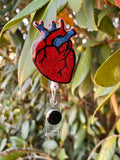 Anatomical Heart Badge Reels, Retractable Swivel Alligator Clip
