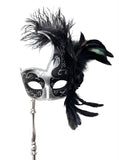 Black and Silver Mardi Gras Mask with Stick