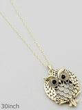 Owl Magnifying Glass Necklace
