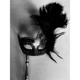Black and Silver Mardi Gras Mask with Stick