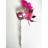 Pink and Silver Mardi Gras Mask on Stick